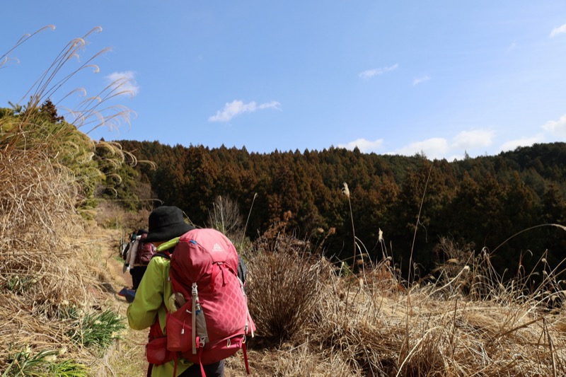 日和田山、物見山